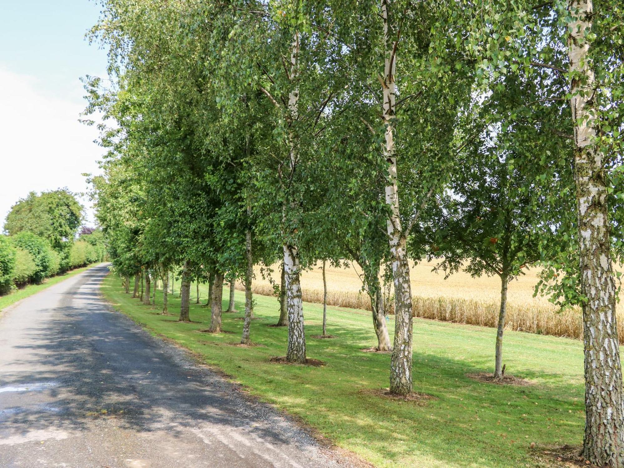 The Barn Villa Northallerton Bagian luar foto